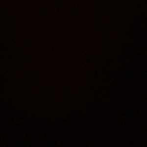 Meet your Posher, Taylynn